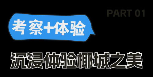 2024年“請進來”?？谑钇诼糜萎a品推介活動圓滿落幕，助力暑期旅游信息精準觸達